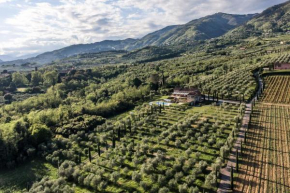 Ampio appartamento completamente rinnovato con vista e piscina, Lucca